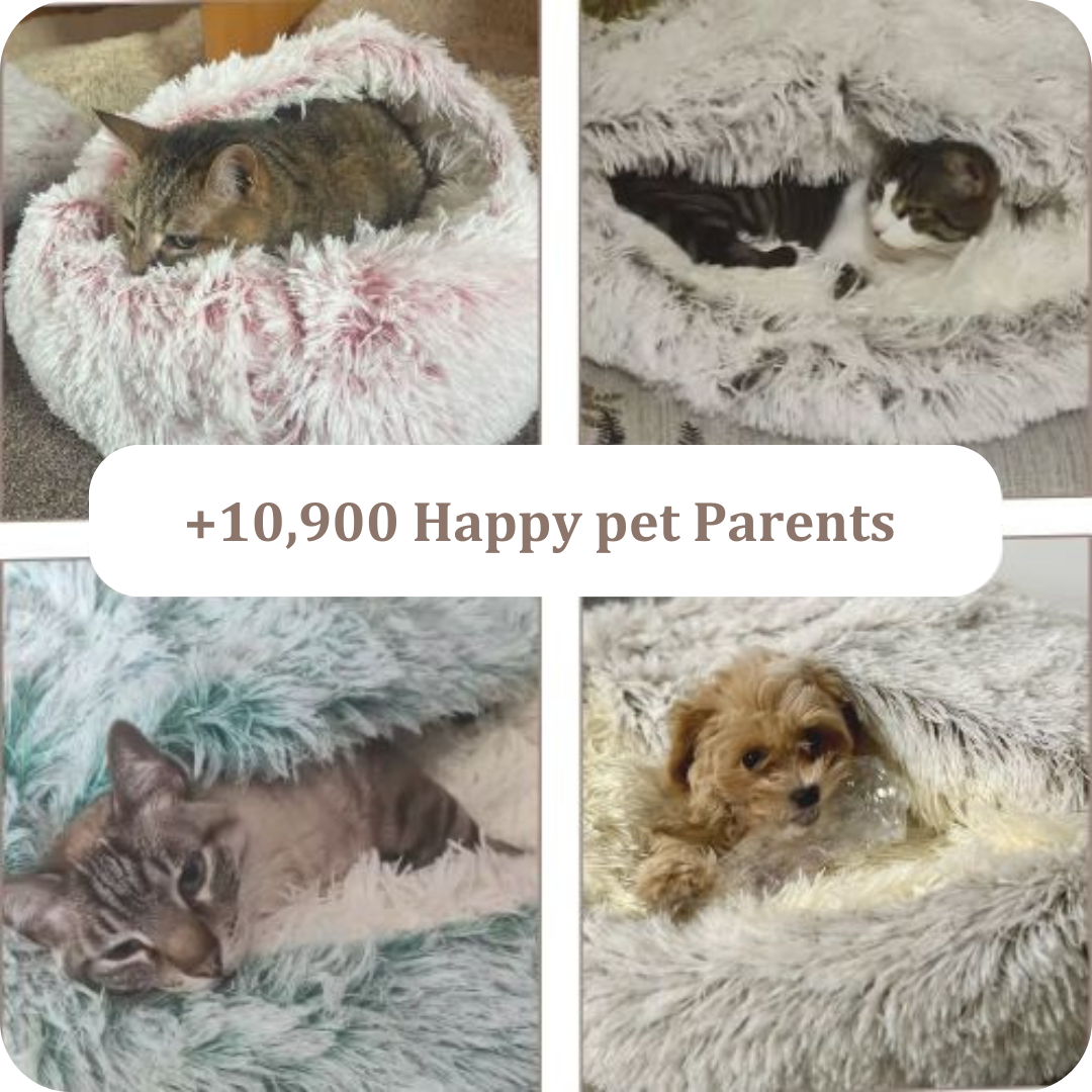 cuddle cocoon-pet bed